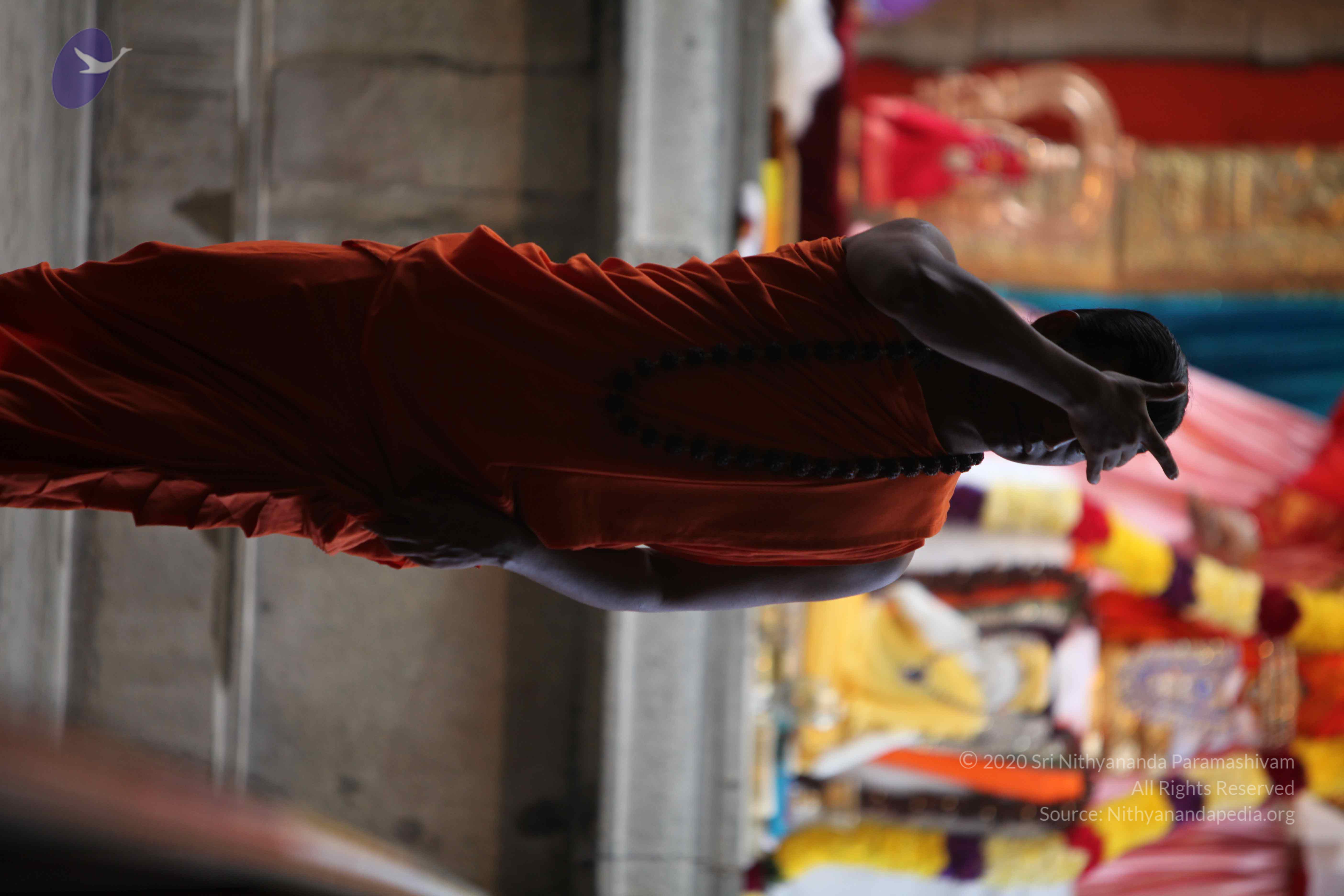 20110225_Photo_1116_IMG_0803_CMP_WM